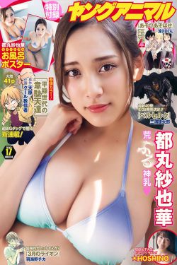 赘婿电视剧在线观看免费完整版